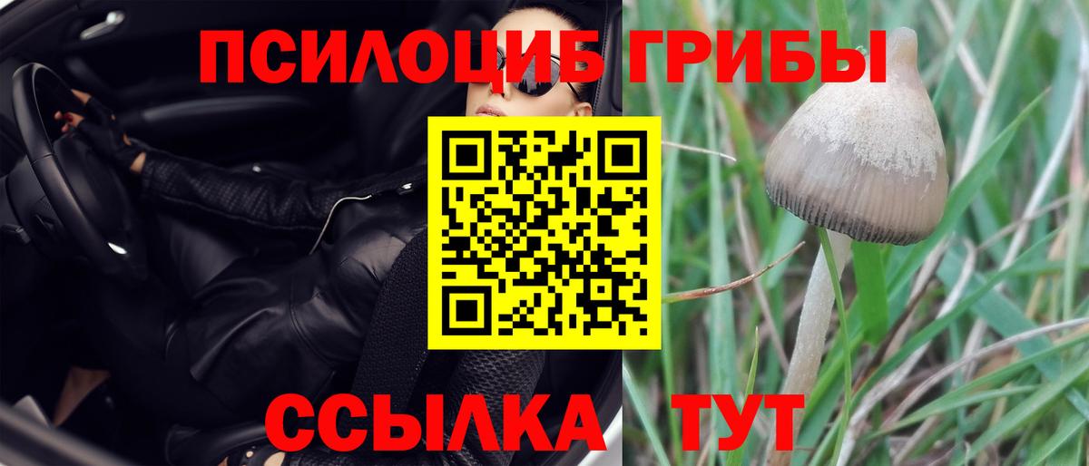 Псилоцибиновые грибы мухоморы  Псилоцибиновые грибы мухоморы  Качканар  Вход с VPN 